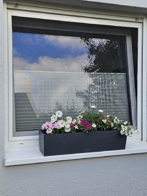 Referenz | Bauelemente Esser, Mönchengladbach